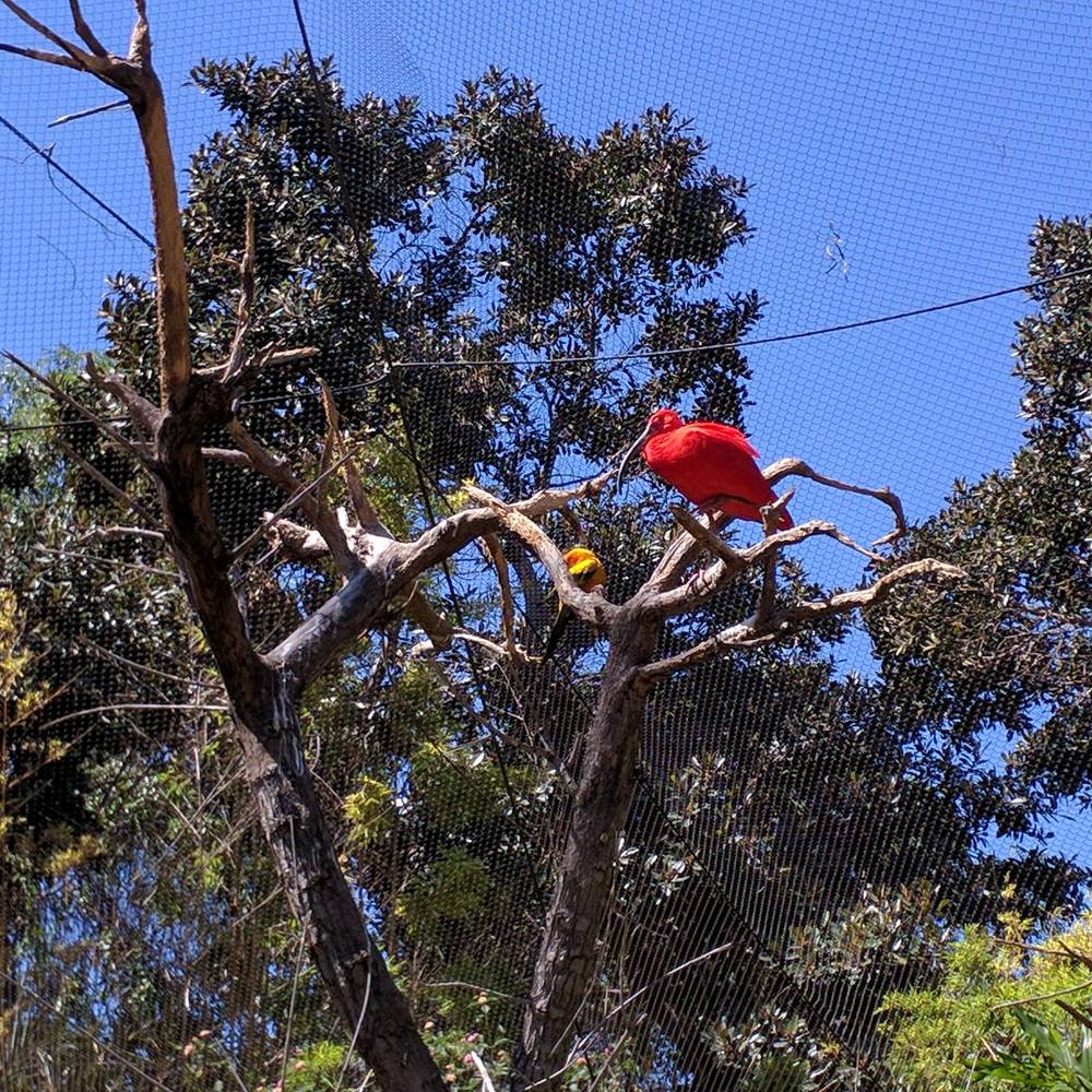 Meet your Posher, Jina